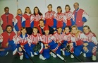 Huippupesistä 1994
